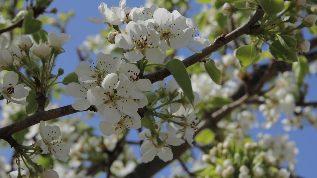 Agriturismo Sarrabus Vendégház San Priamo Kültér fotó