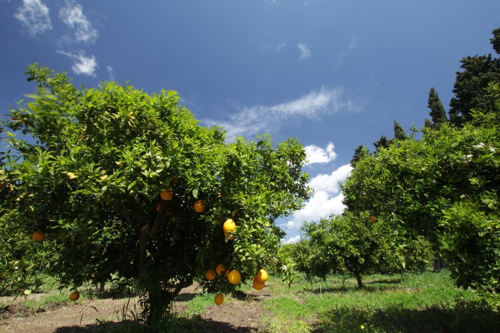 Agriturismo Sarrabus Vendégház San Priamo Kültér fotó